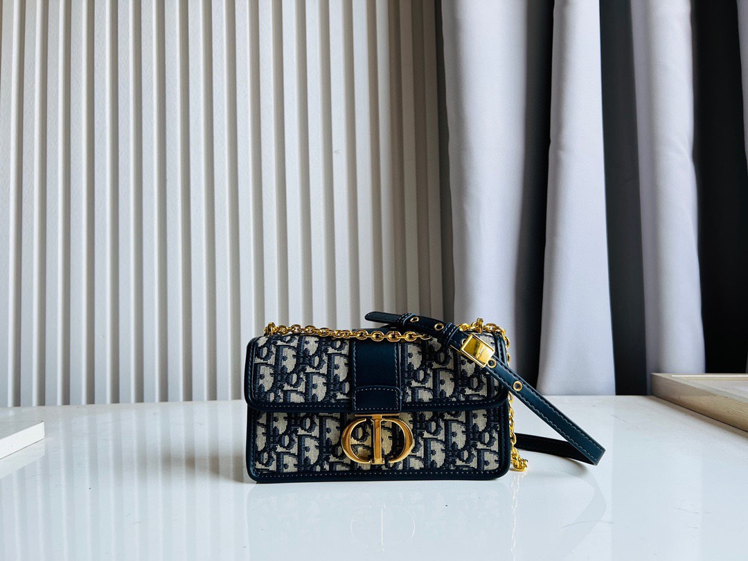 DIOR MONTAIGNE Chain Bag