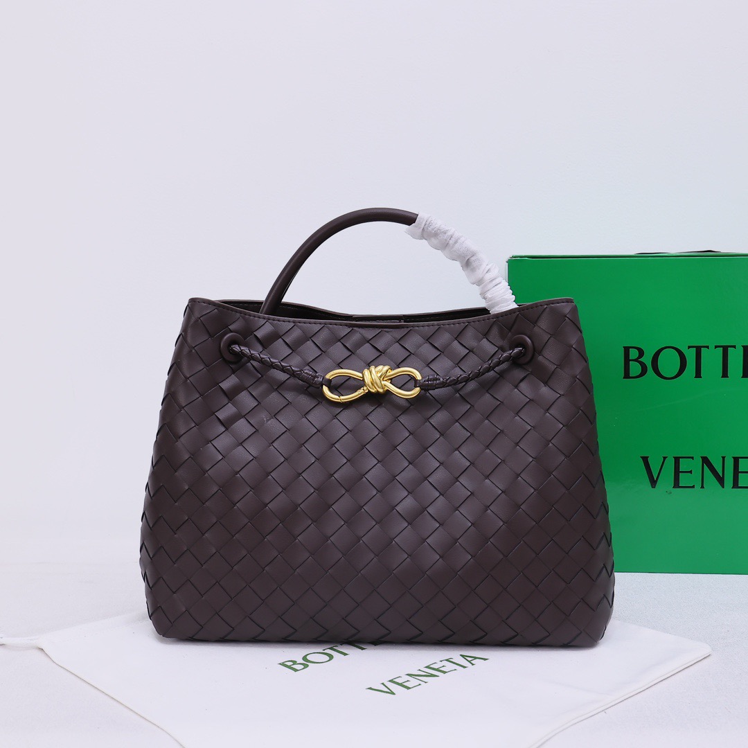 Bottega Veneta Andiamo Handbag