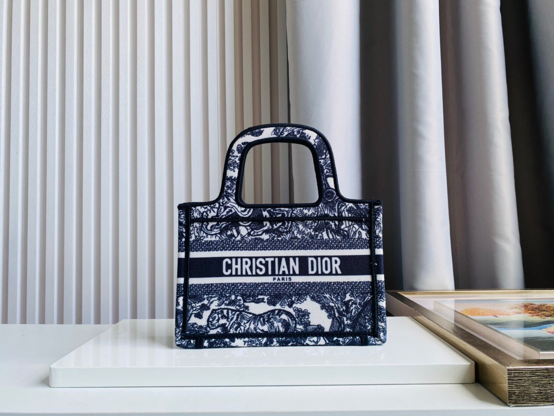 DIOR BAG