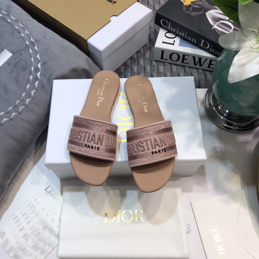 DIOR SLIDES