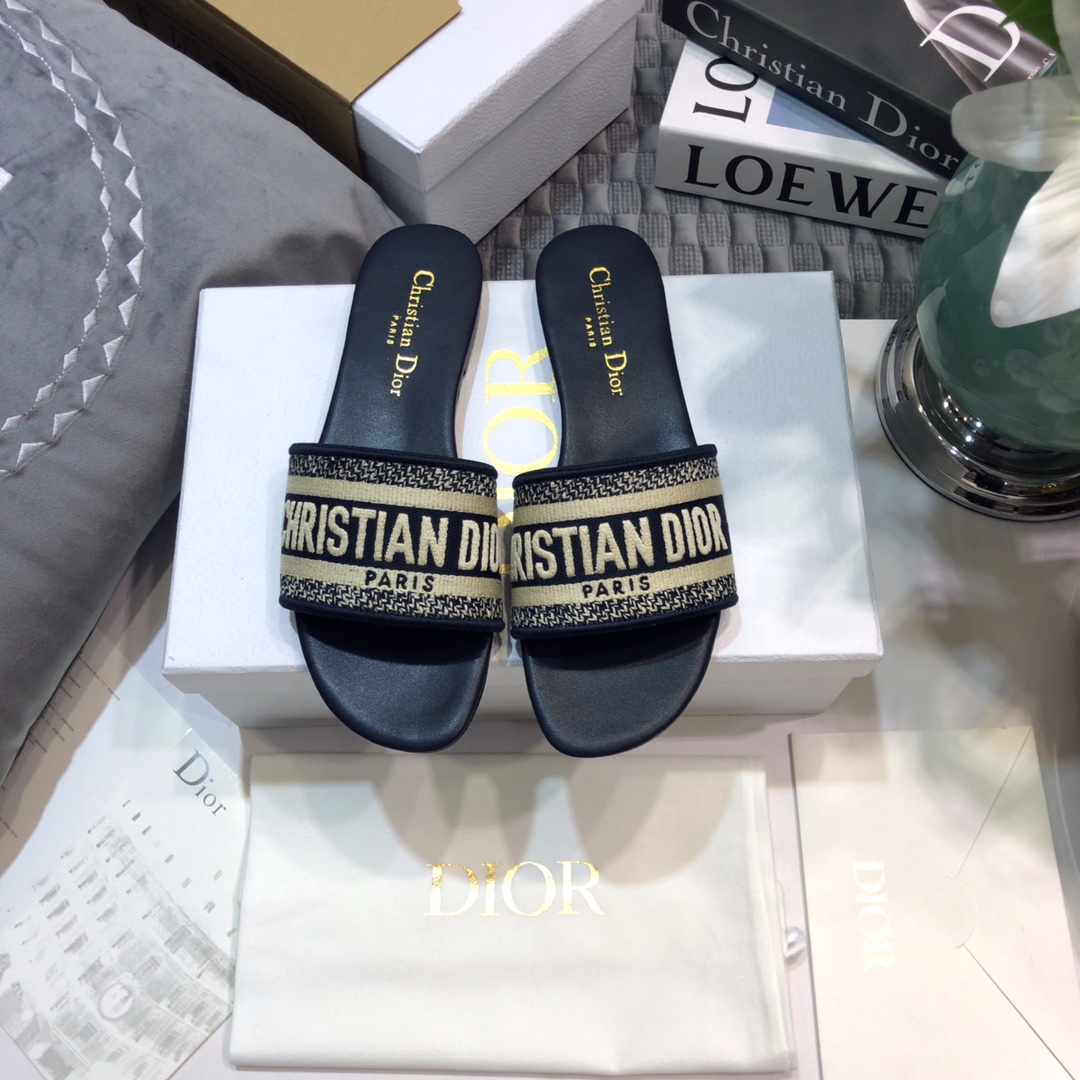 DIOR SLIDES
