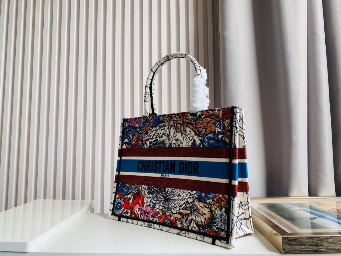 DIOR BAG