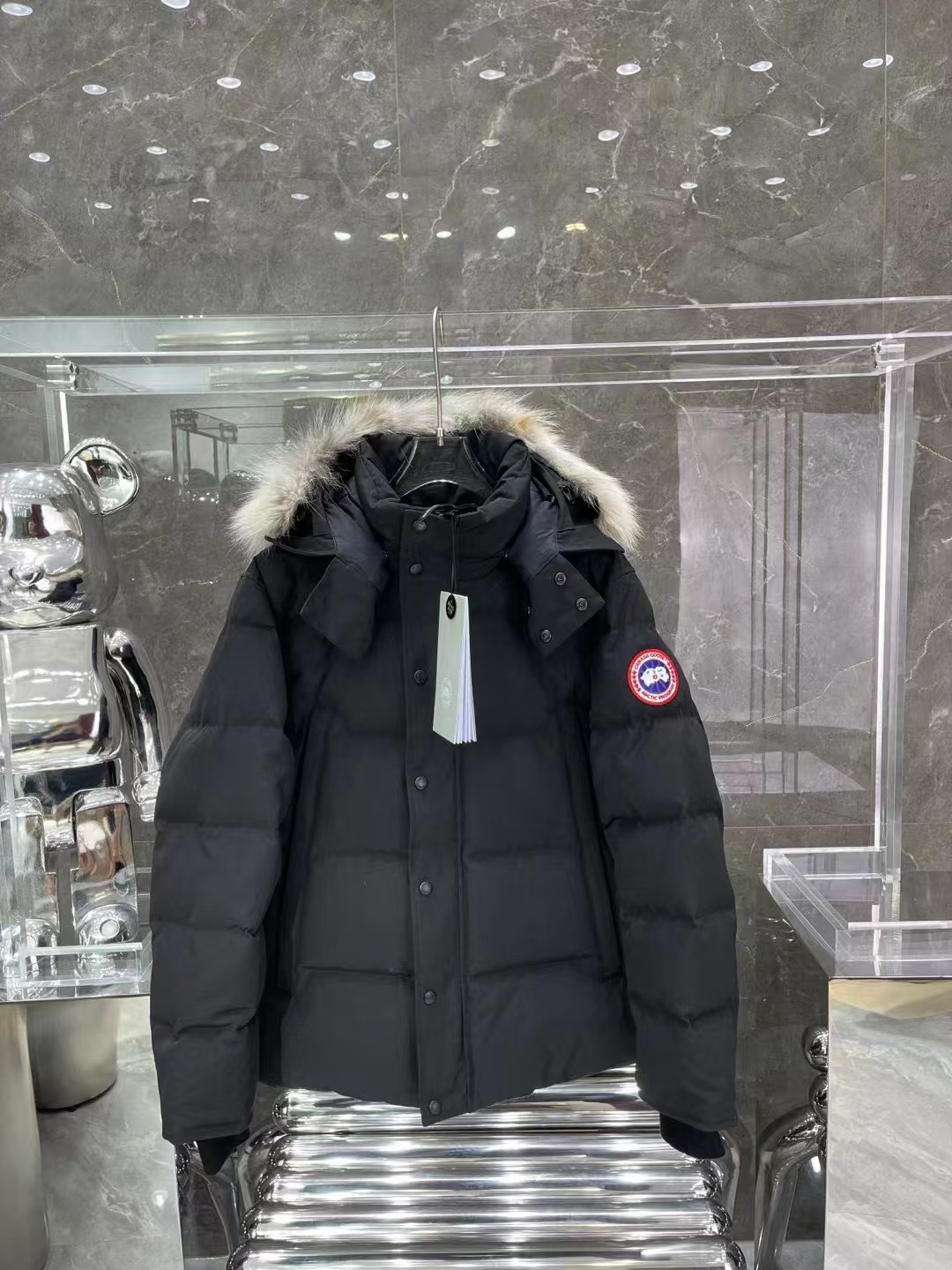 CANADA GOOSE down jacket