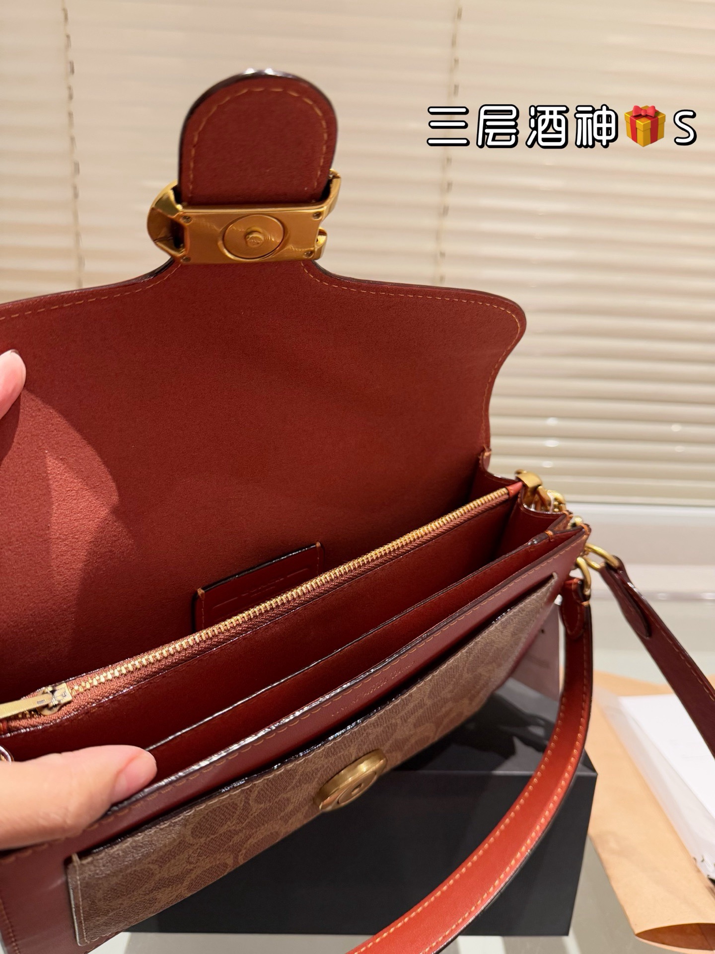 Coach Handbag（26cm）