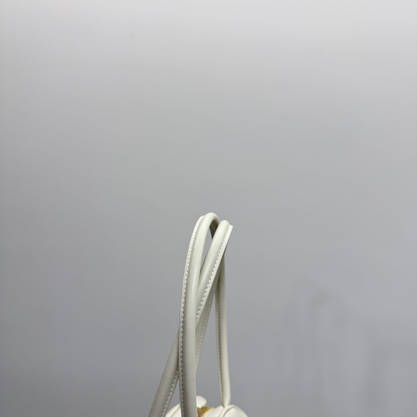 miumiu bag (best quality)