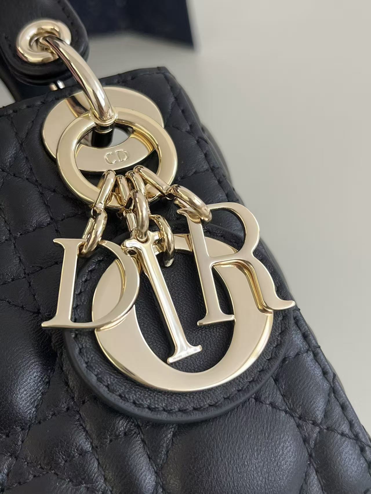DIOR Bag (best quality)