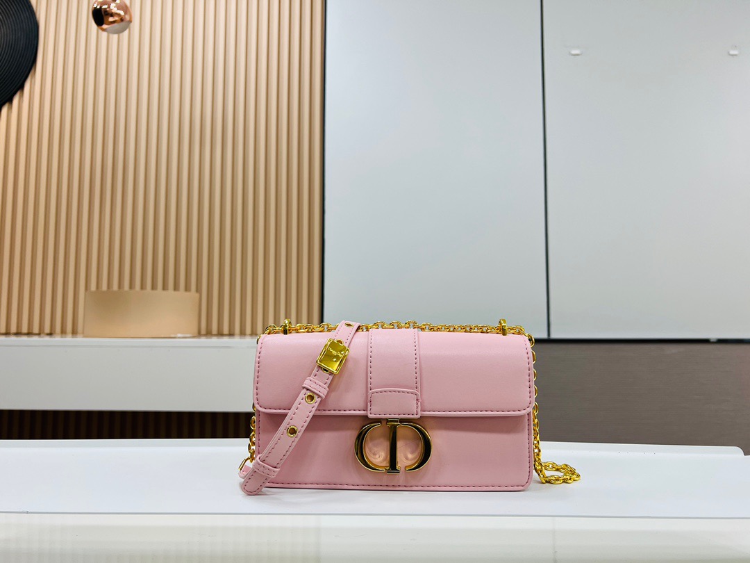 DIOR MONTAIGNE Chain Bag