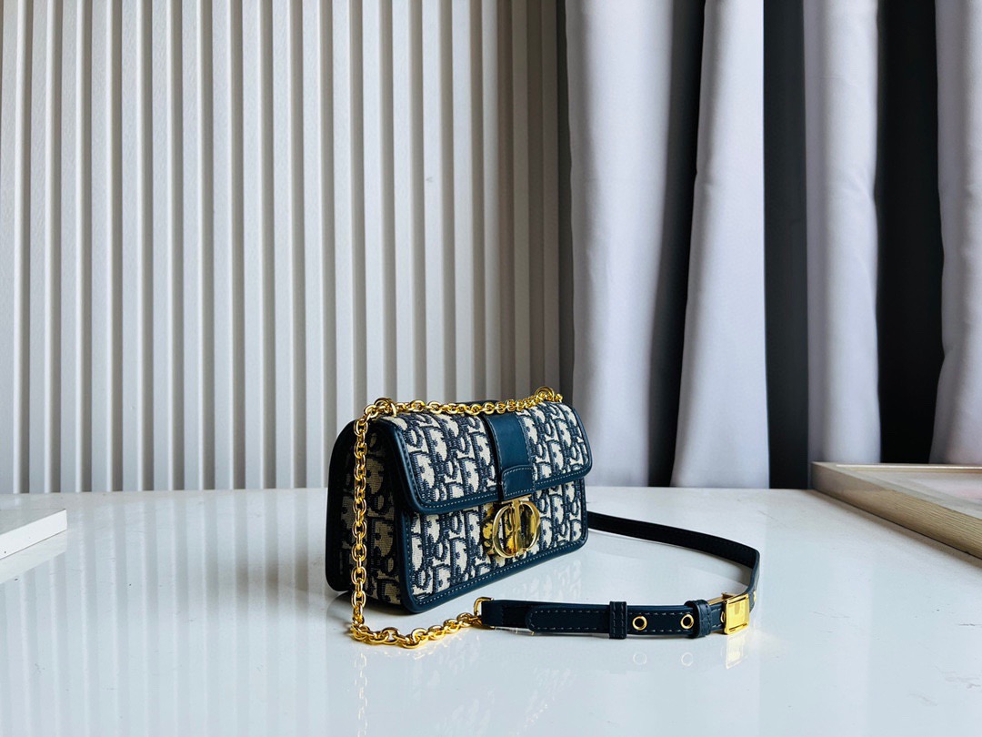 DIOR MONTAIGNE Chain Bag