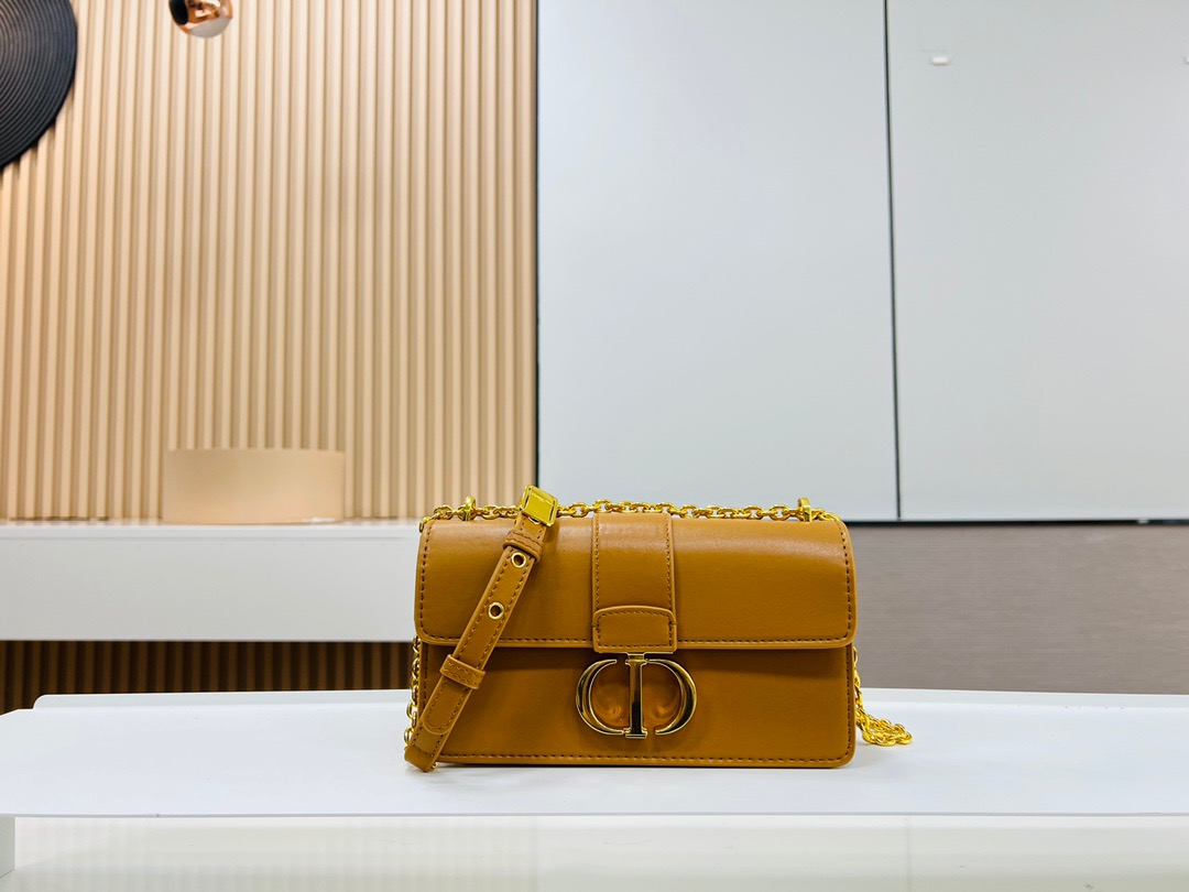 DIOR MONTAIGNE Chain Bag