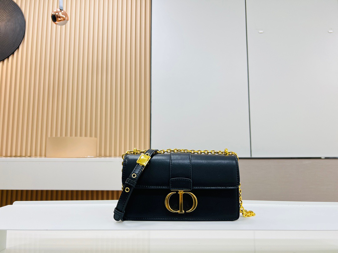 DIOR MONTAIGNE Chain Bag