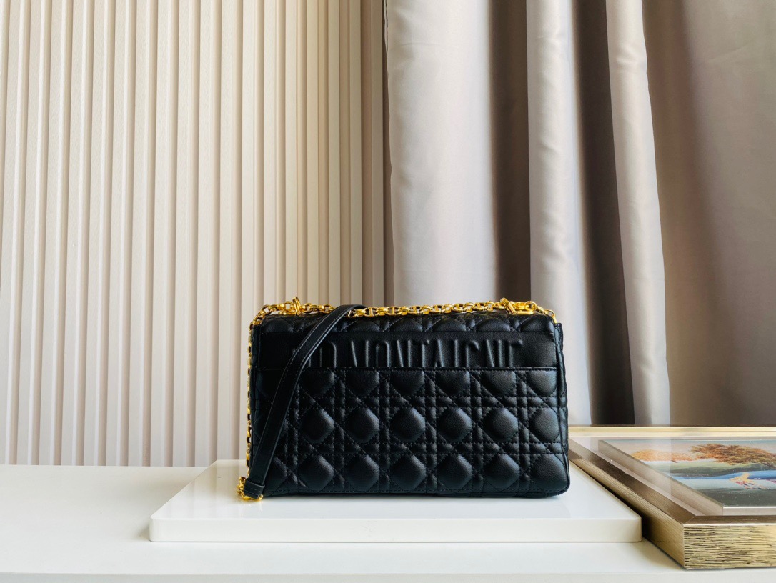 DIOR BAG