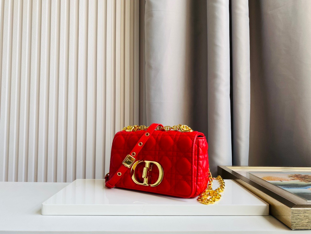 DIOR BAG
