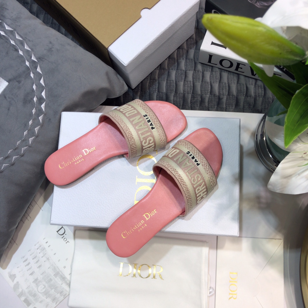 DIOR SLIDES