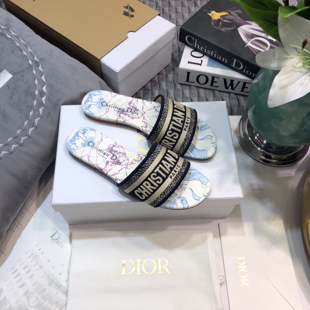 DIOR SLIDES