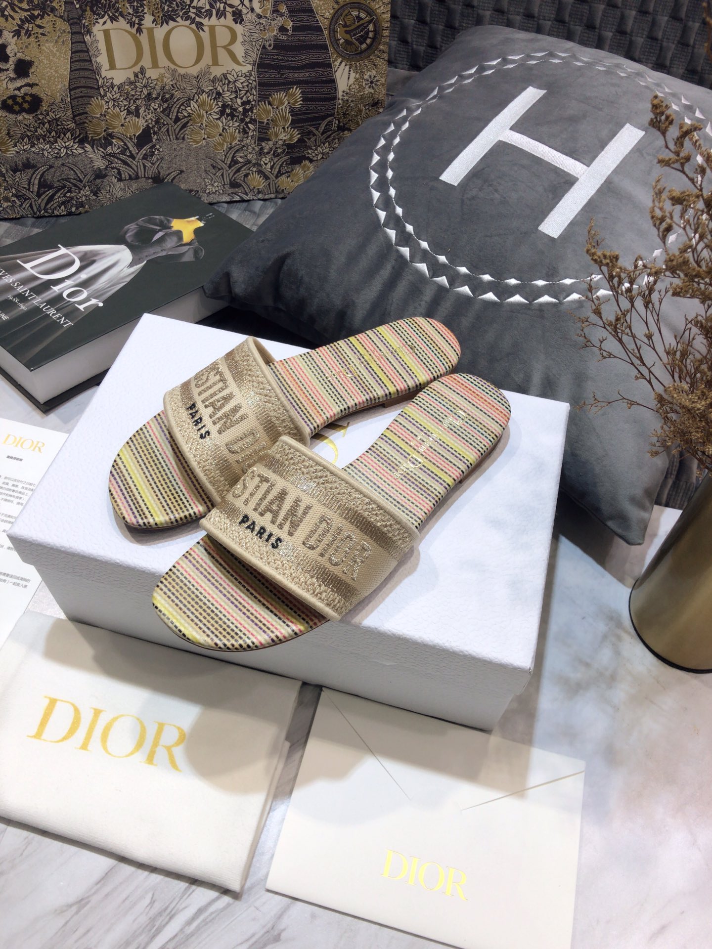 DIOR SLIDES