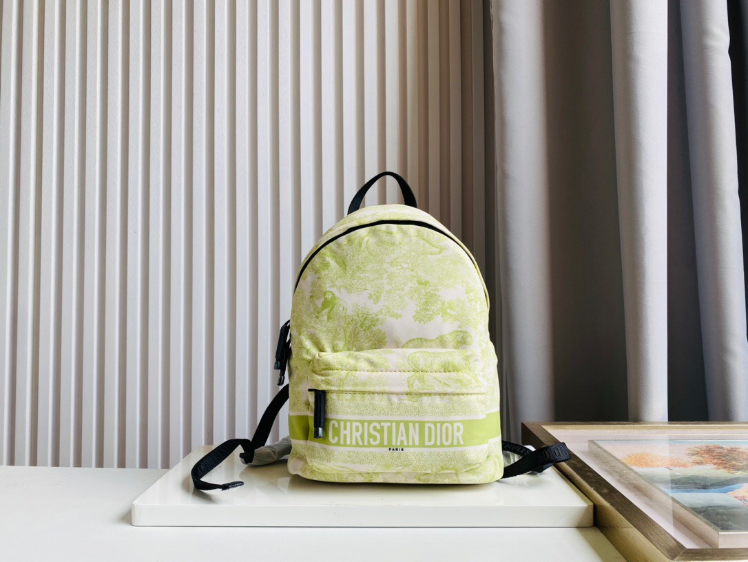 DIOR BAG