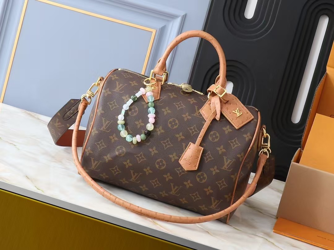 LV Bag (best quality)