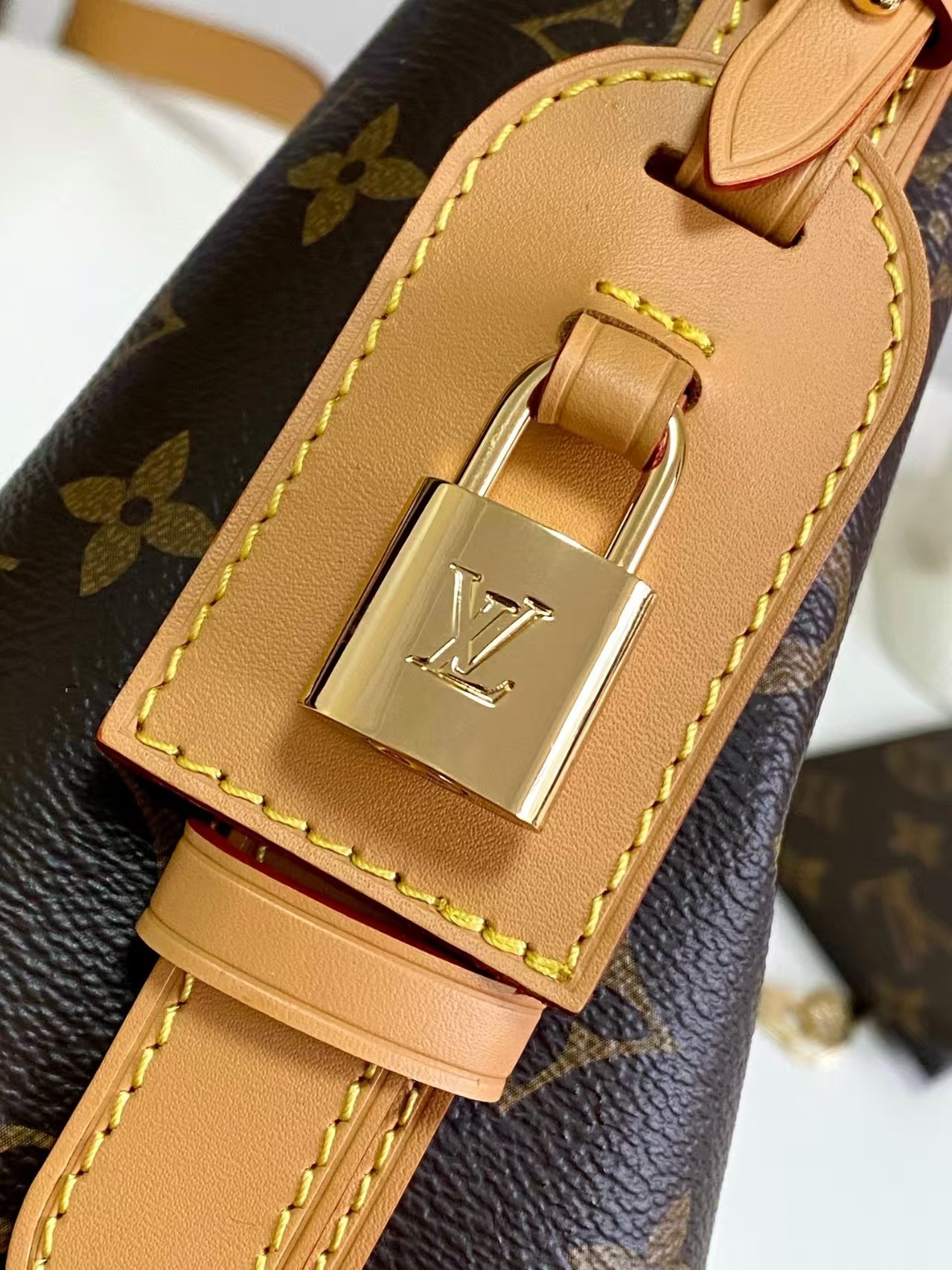 LV handbag