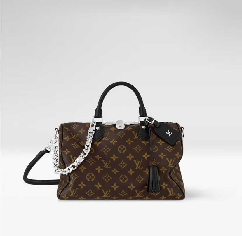 LV Sedy soft 30 dark Handbag